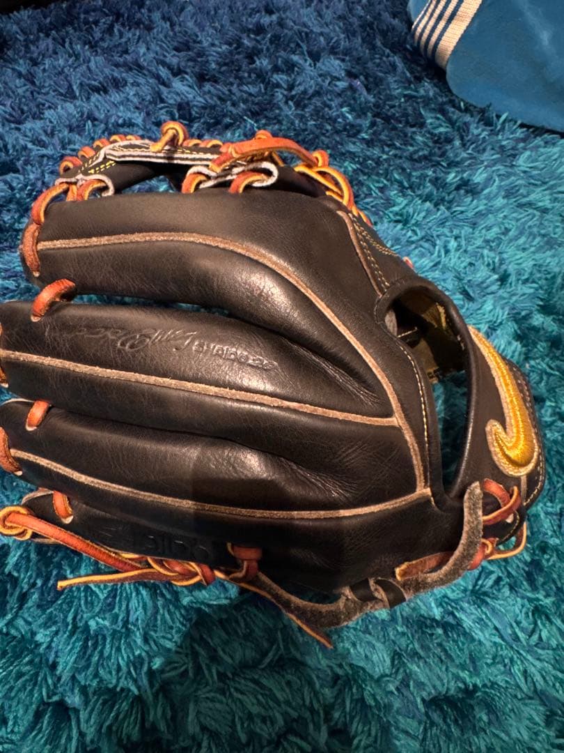 激レア！NIKE ナイキ 謝道 硬式 最上級モデル 内野用グラブ 廃盤超希少品