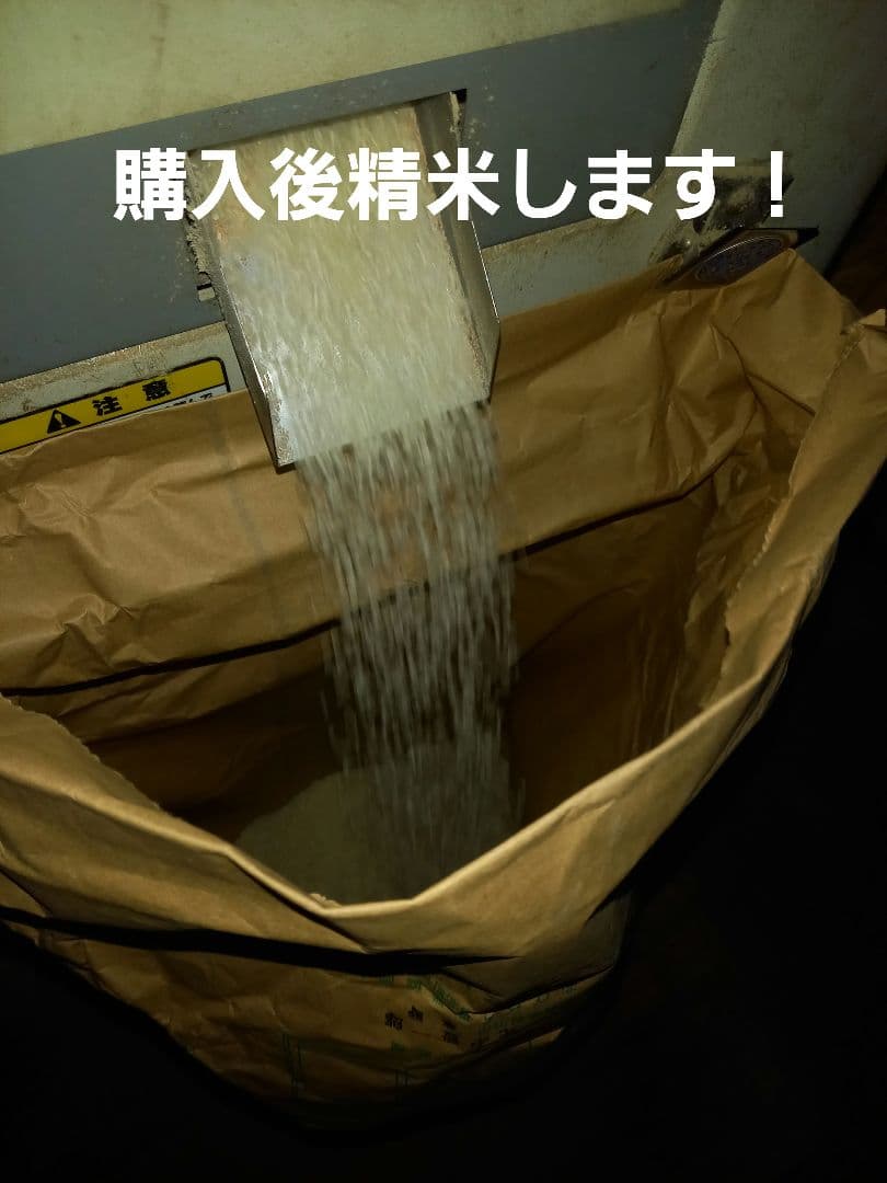 農家直送！！ 令和7年滋賀県産コシヒカリ白米27kg