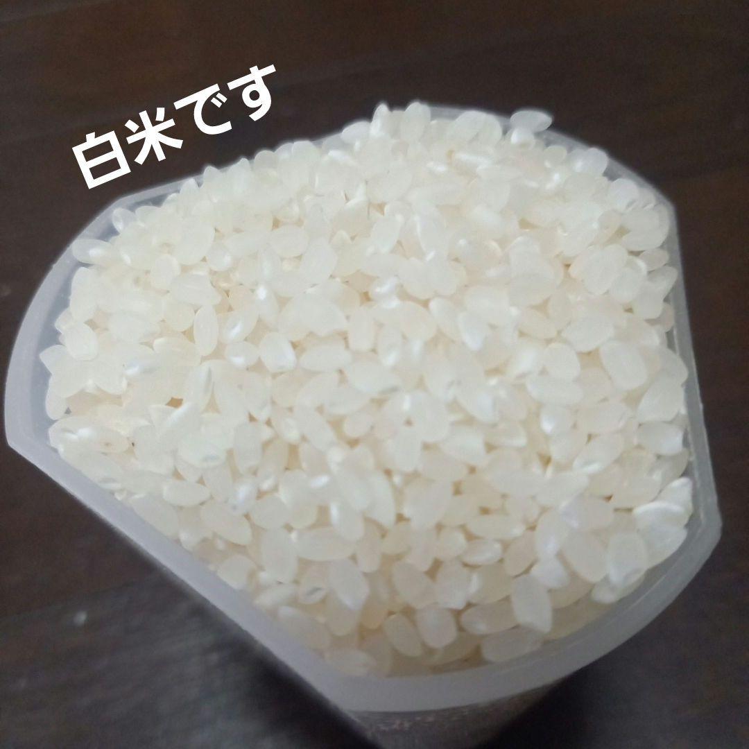 農家直送！！ 令和7年滋賀県産コシヒカリ白米27kg