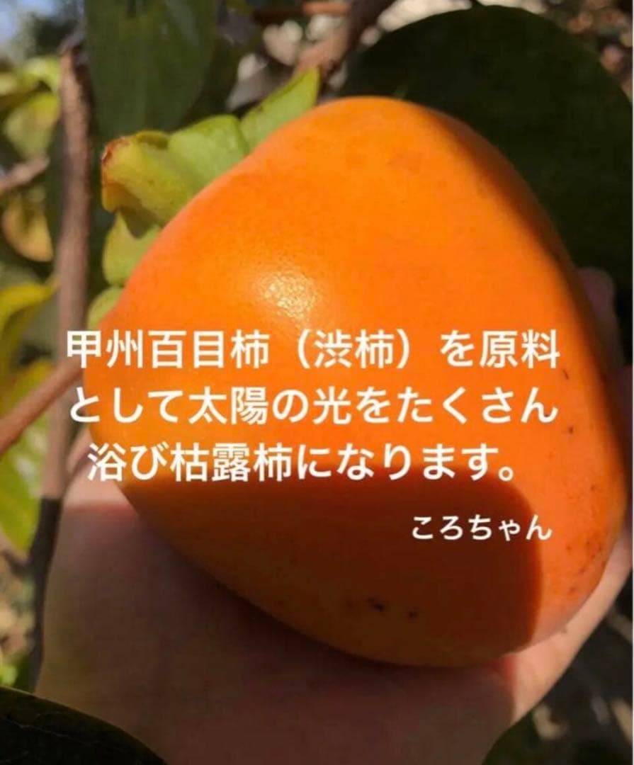 はなえみ様⁑