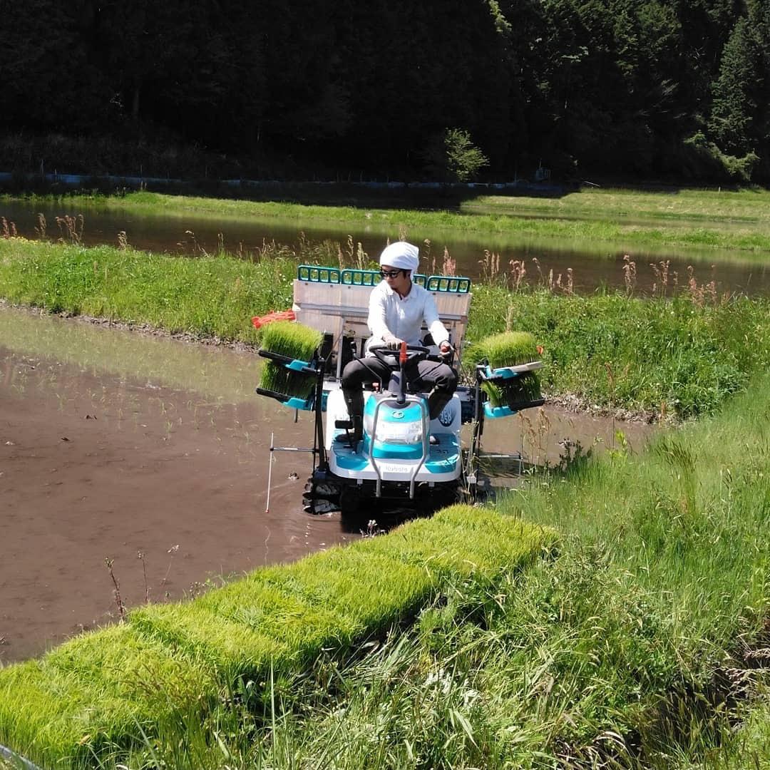 【農家直送】きぬむすめ玄米20kg 令和7年岡山県津山市産