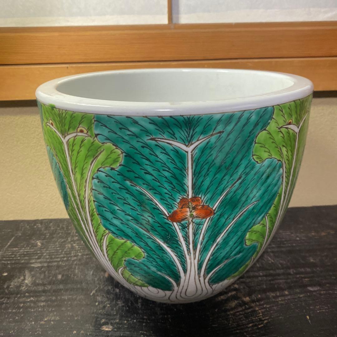 中国古玩　春白菜図水蓮鉢