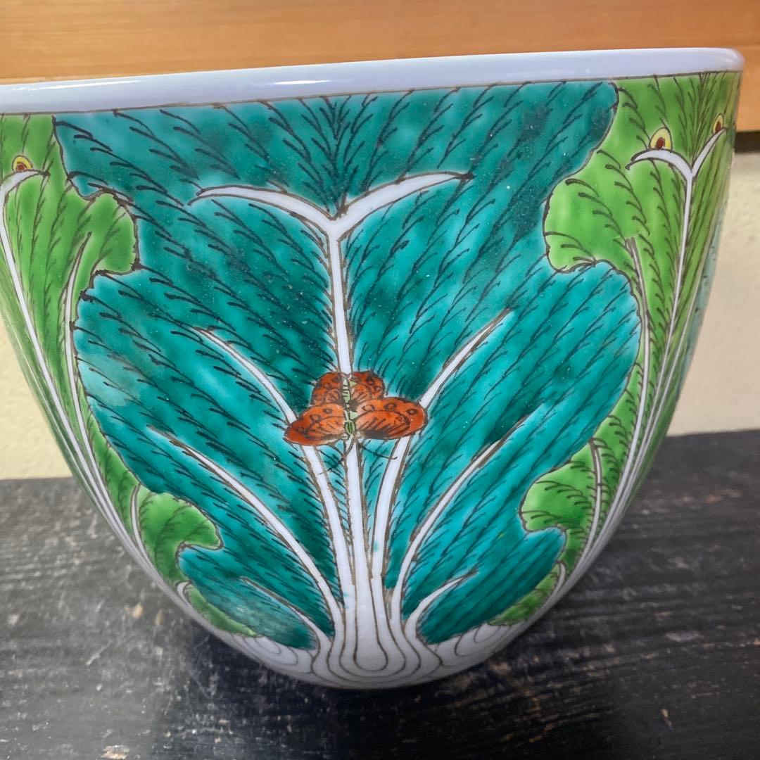 中国古玩　春白菜図水蓮鉢