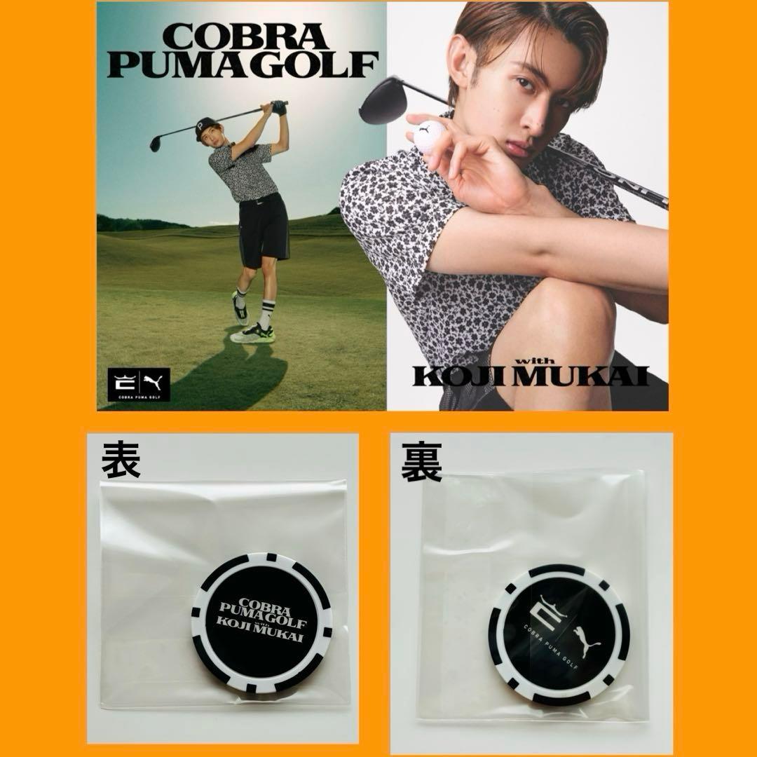 向井康二 クリアファイル 1枚 / ちふれ