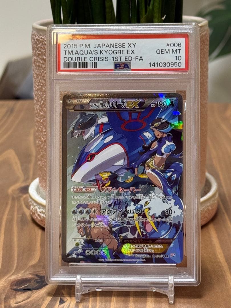 マグマ団のグラードンEX & アクア団のカイオーガEX 【PSA10 2連番】