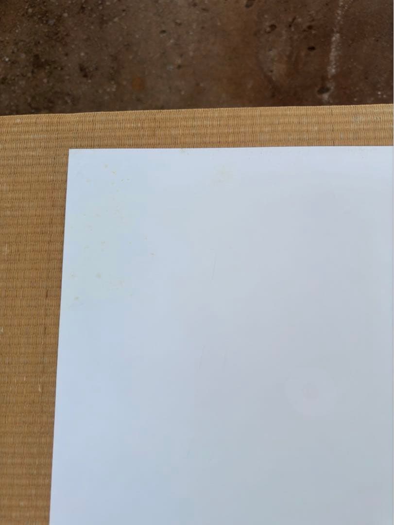 マ*コ様 【18】となりのトトロ　ジブリ　宮崎駿　ポスター