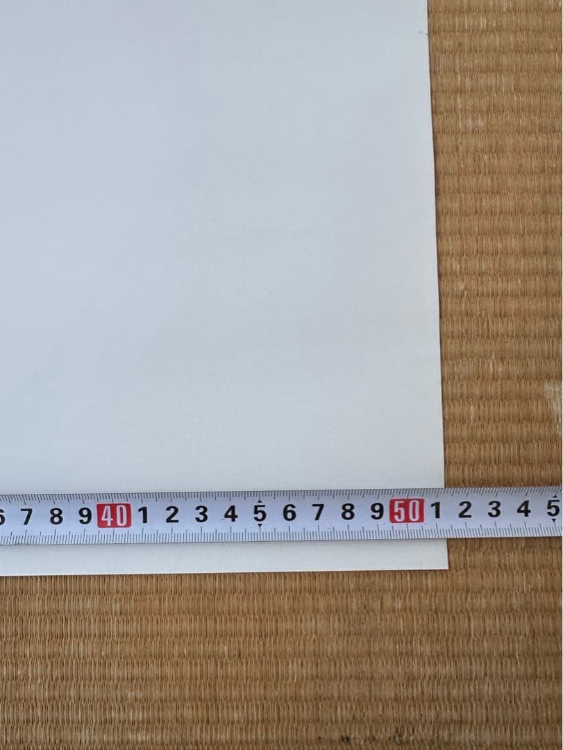 マ*コ様 【18】となりのトトロ　ジブリ　宮崎駿　ポスター