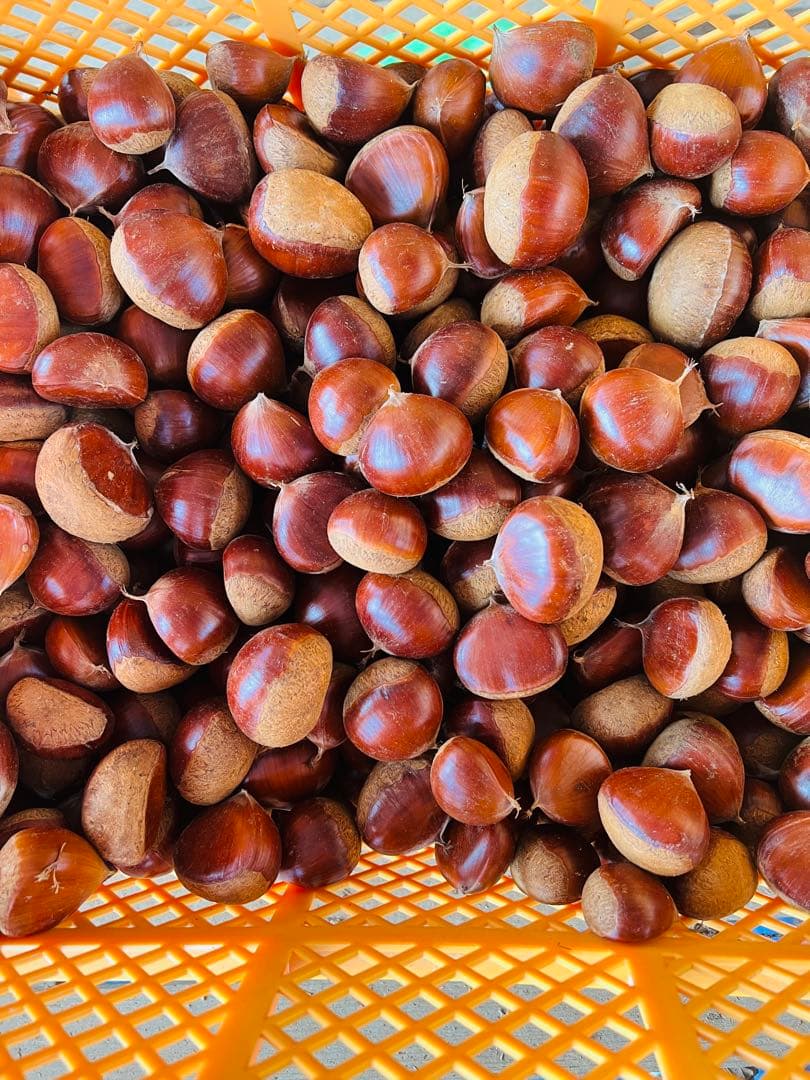 ★笠間の栗♪栗♪栗♪★15k 超★3L大粒混じりMix★業務用★皆でお得♪♪