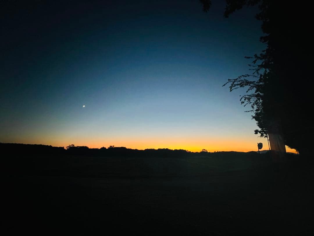 ★笠間の栗♪栗♪栗♪★15k 超★3L大粒混じりMix★業務用★皆でお得♪♪