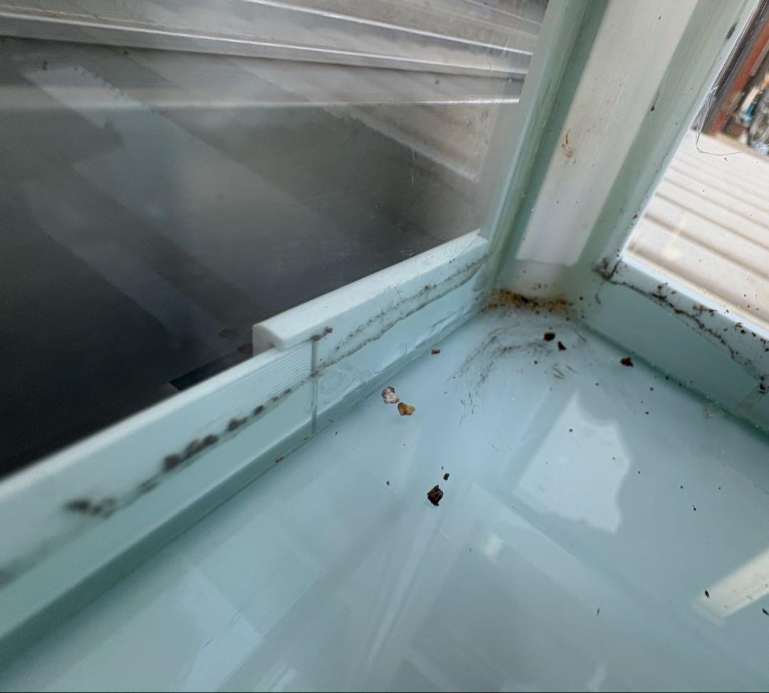 爬虫類ケージ パンテオン ホワイト WH6030