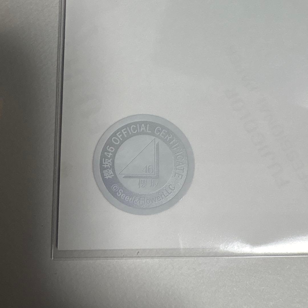 山下瞳月 櫻坂46 2025年 サンタ 生写真 直筆サイン