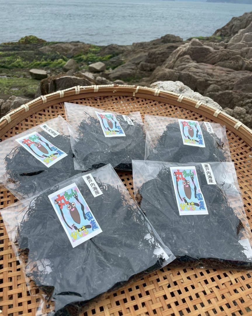 2500 五個瀬戸内 乾燥ひじき HIji1M ダイエット144297