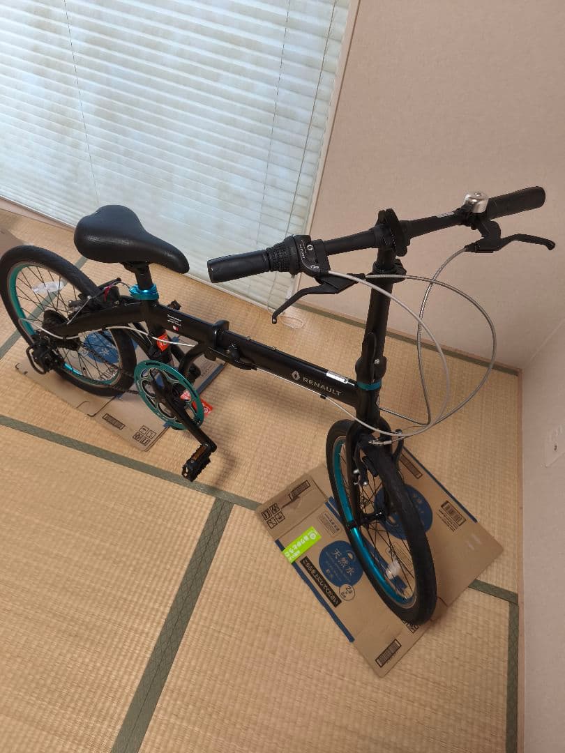 RENAULT(ルノー) LIGHT10 (112800199)ブラック