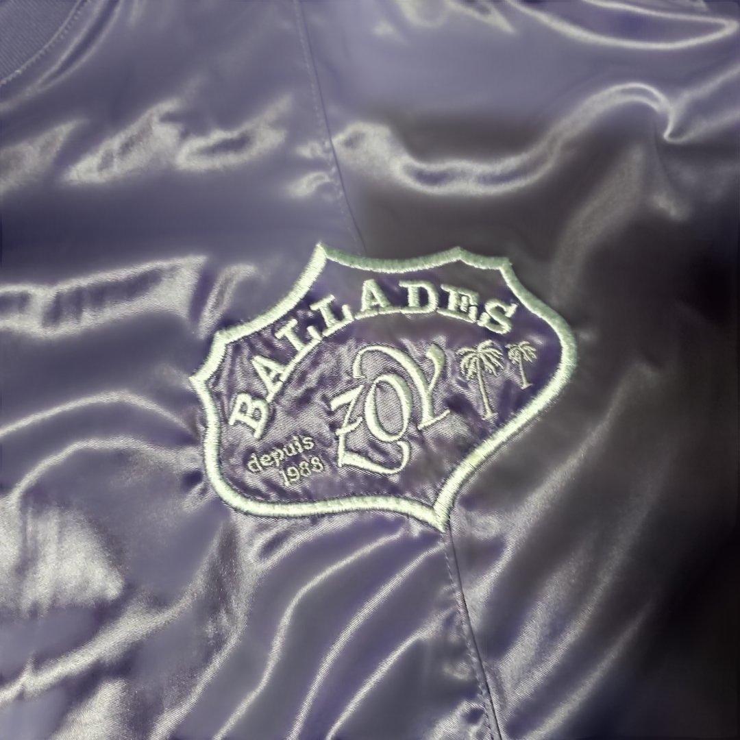 ZOYセットアップ