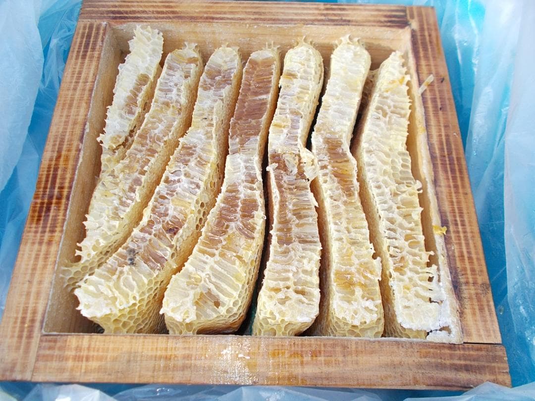 ★日本蜜蜂・非加熱・生ハチミツ・はちみつ・1Ｋ★