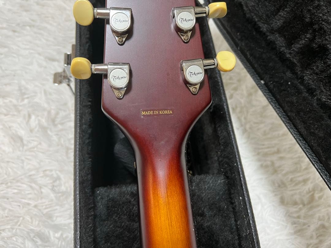Takamine G Series エレアコ