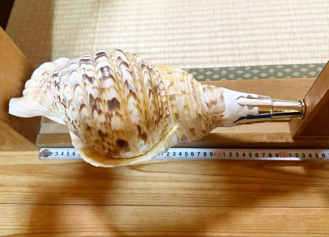 商談中　特大修験道法螺貝41㎝　山伏　密教　熊よけ　魔除け❣️ホラガイ　ほら貝網袋