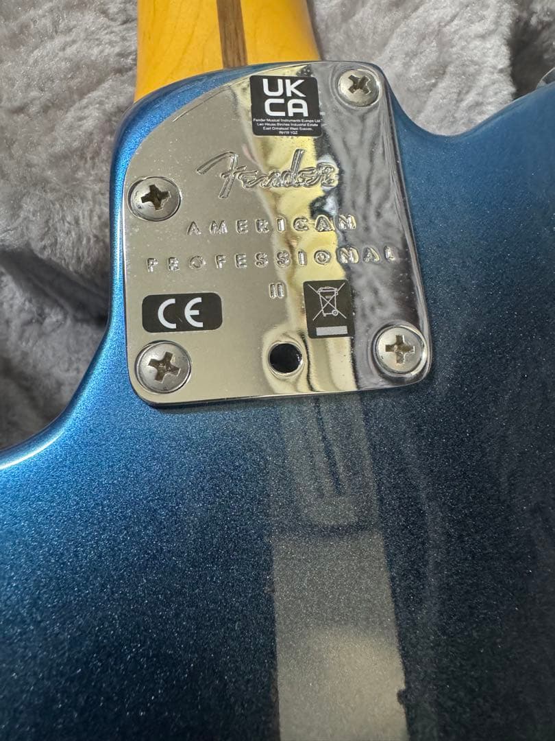 交渉可！Fender American Professional II Tele