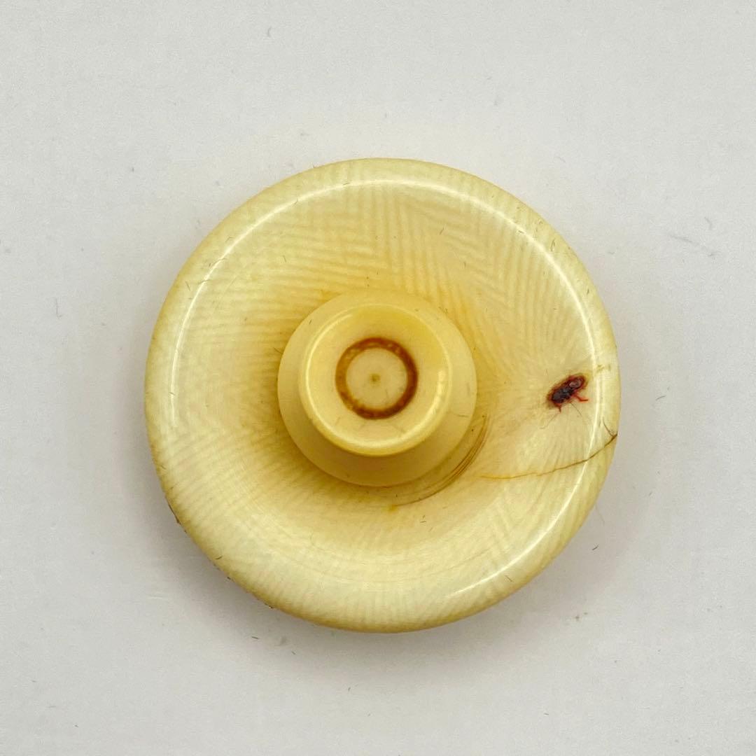 淡々斎書付 茄子茶入 膳所焼　陽炎園　共箱入　茶道具　濃茶器　唐物