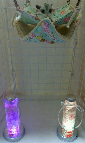 モモンガハウス(パンダ柄マカロン・グリーン)ボアベージュ  2000円