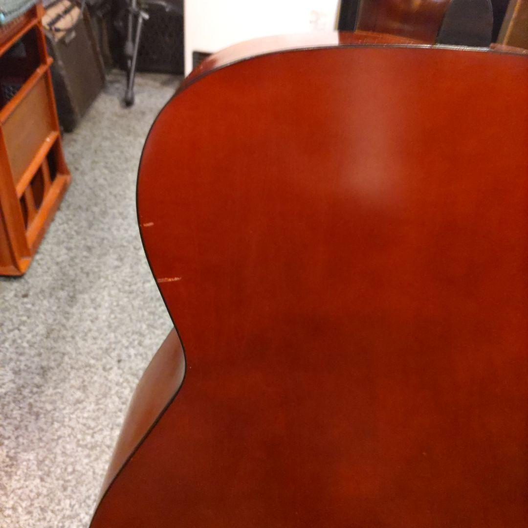 ジャパンヴィンテージ ariana by ARIA エレアコ FG-12