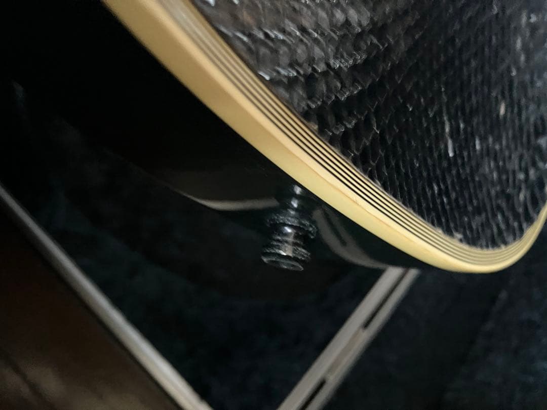 daizo ESP SUGIZO eclips ブラックパイソンs-1