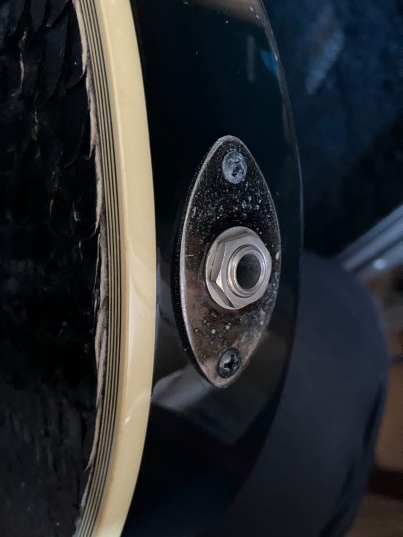 daizo ESP SUGIZO eclips ブラックパイソンs-1