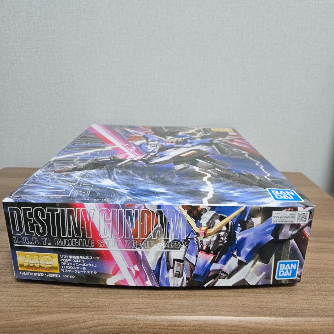 MG 1/100 デスティニーガンダム