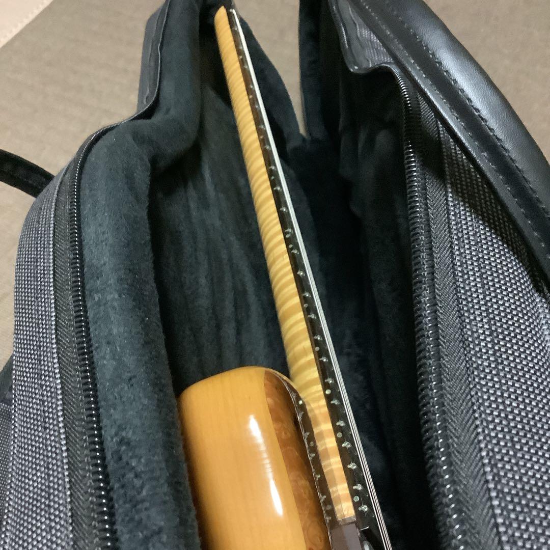 ギター Canton Custom Guitars - Model Jazz