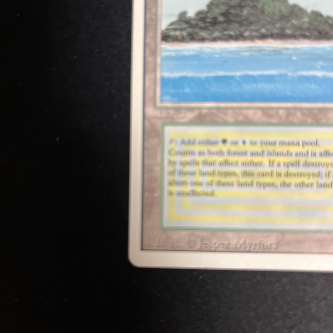 英語版　Tropical 