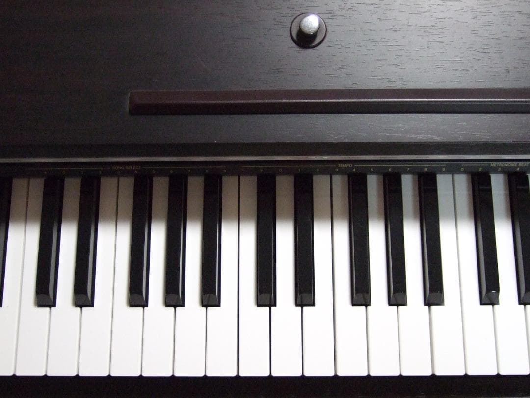 電子ピアノ CASIO Privia PX-700 88鍵盤 送料込み