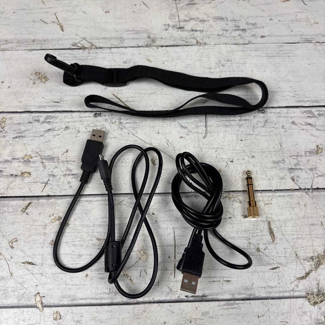 Roland Aerophone AE-05 デジタルサックス 楽器 サックス