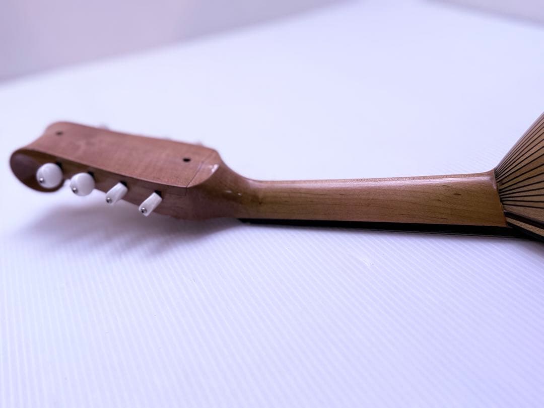 マンドリンSUZUKI M-100 ケースとセット