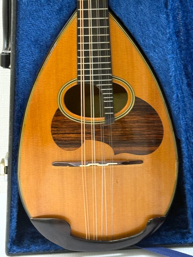 マンドリンSUZUKI M-100 ケースとセット