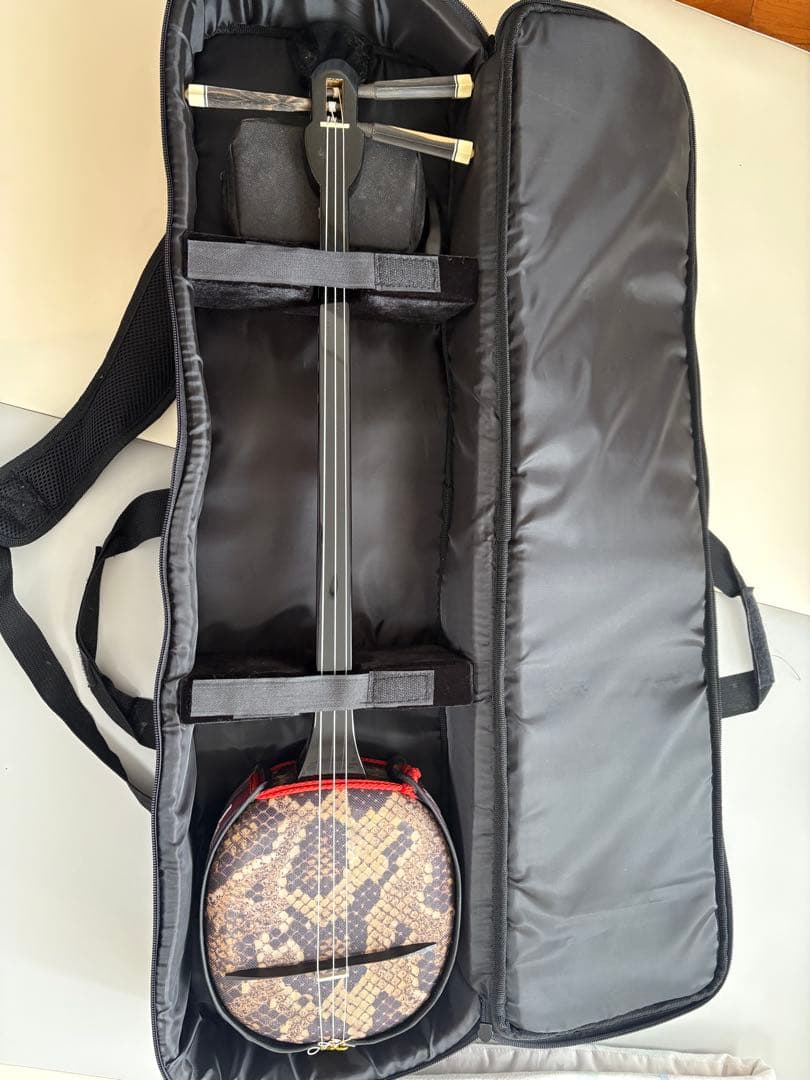 三線本体 ヘビ革模様 ケース付き