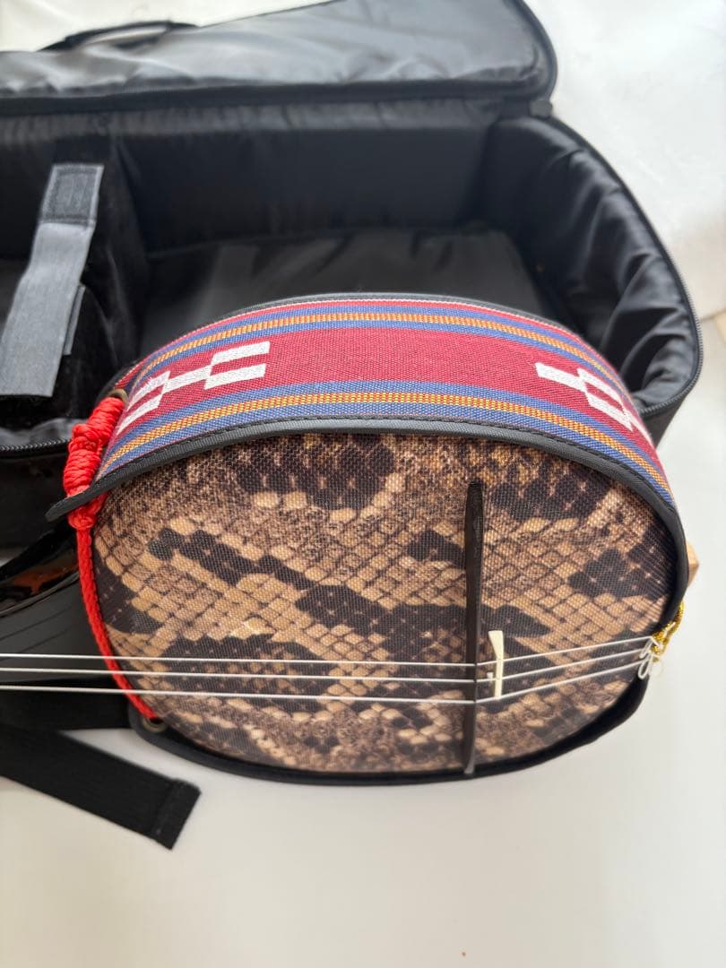 三線本体 ヘビ革模様 ケース付き