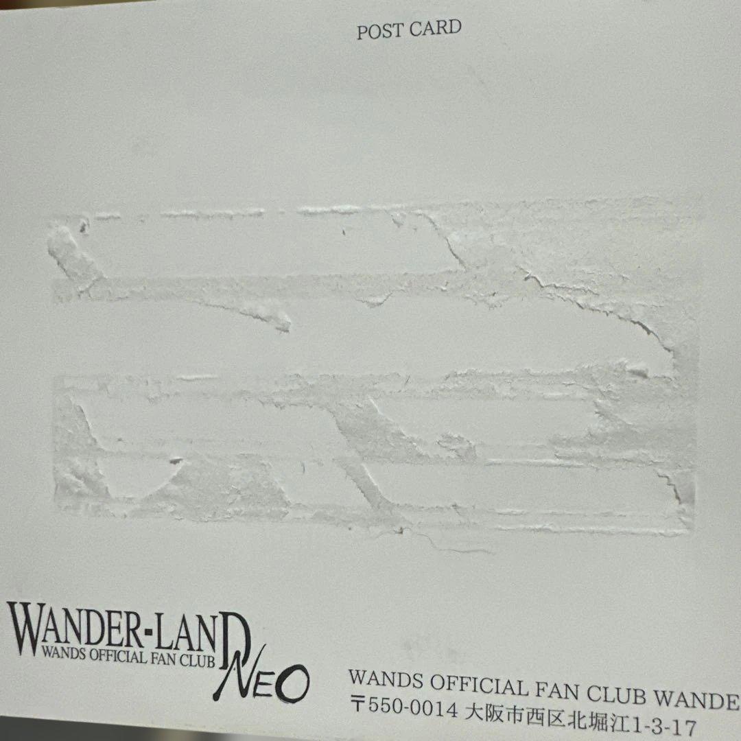 WANDS 会報vol.1-6セットポストカードクリアファイルセット