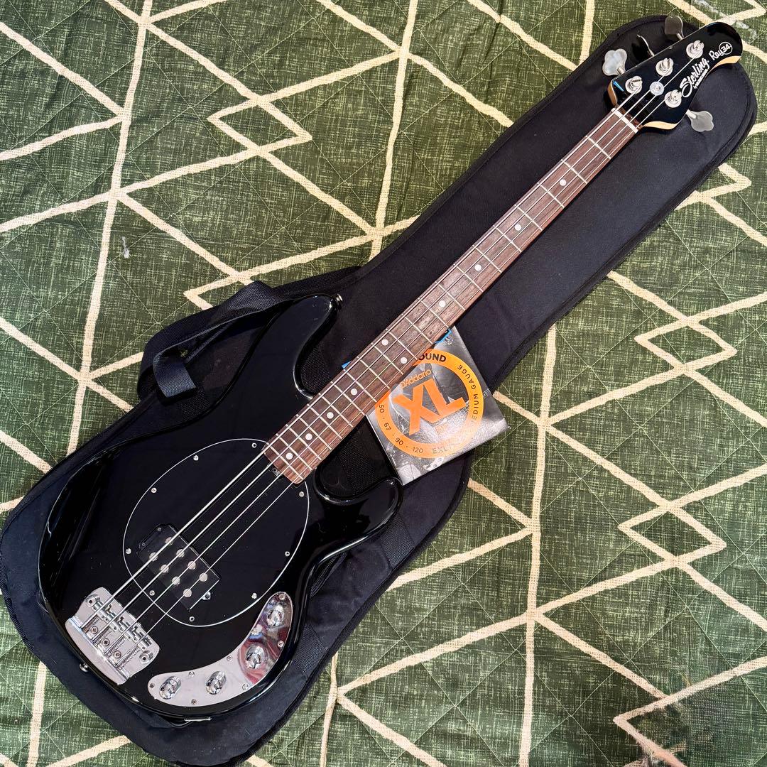 Musicman sterling Ray34 スティングレイ 小傷アリ