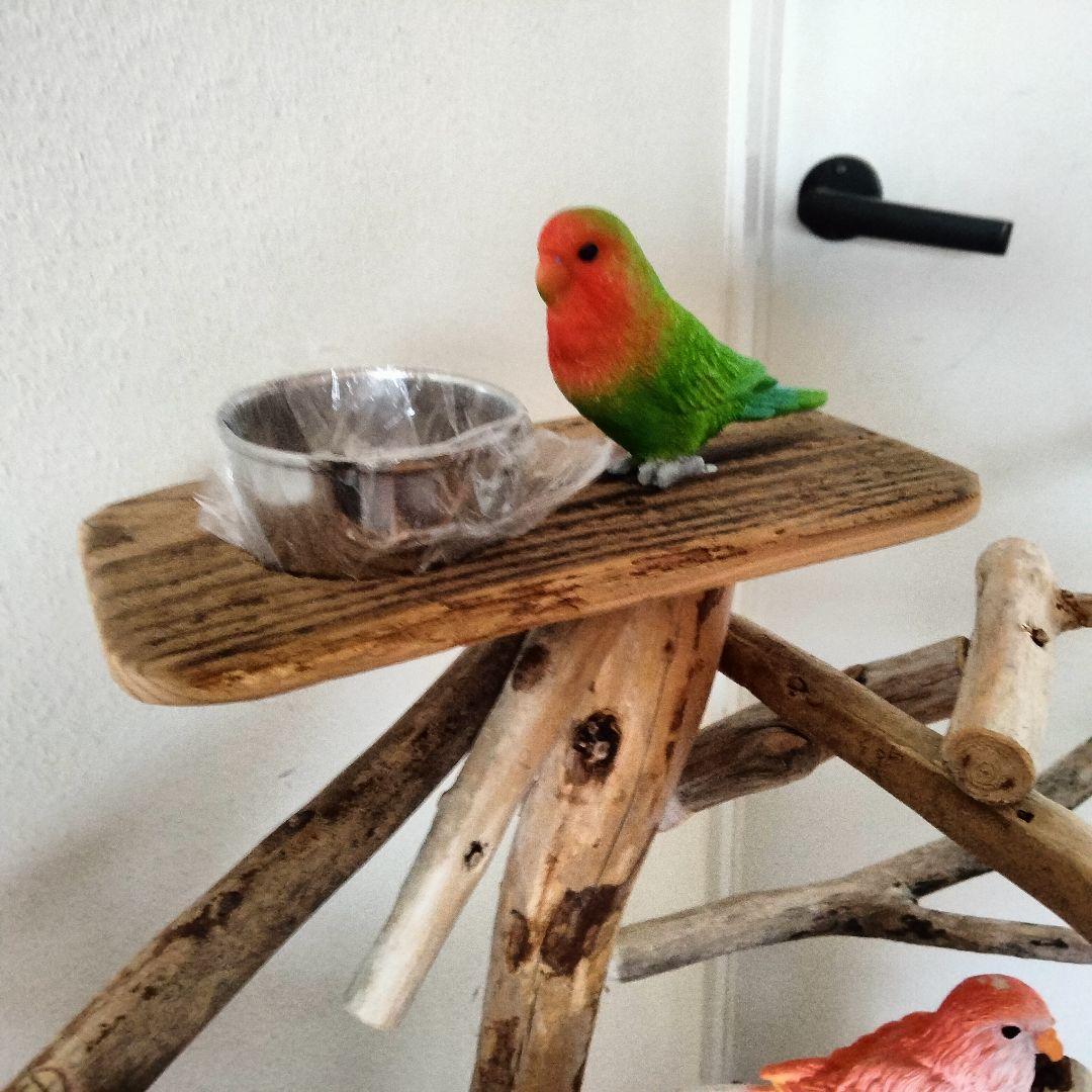 バードアスレチックジム㊻ 天然木 自然木 流木 止まり木 インコ