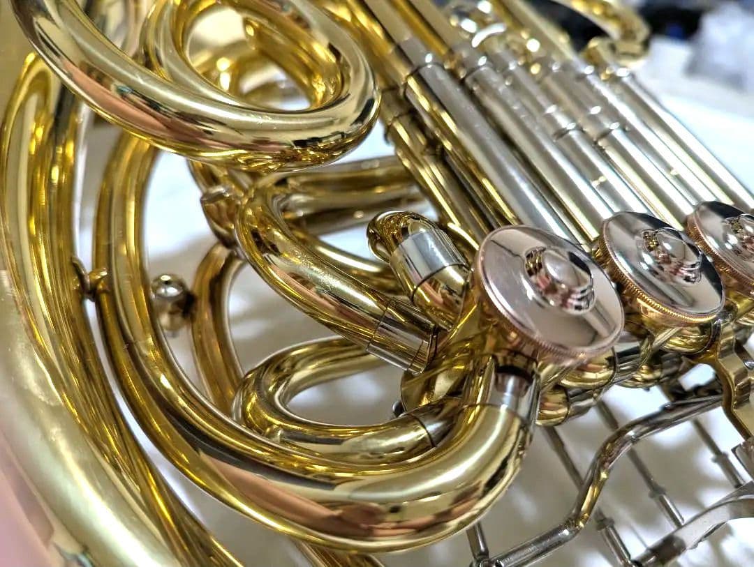 Stonvi　Elite　フルダブル / bagsケース★週末限定値下