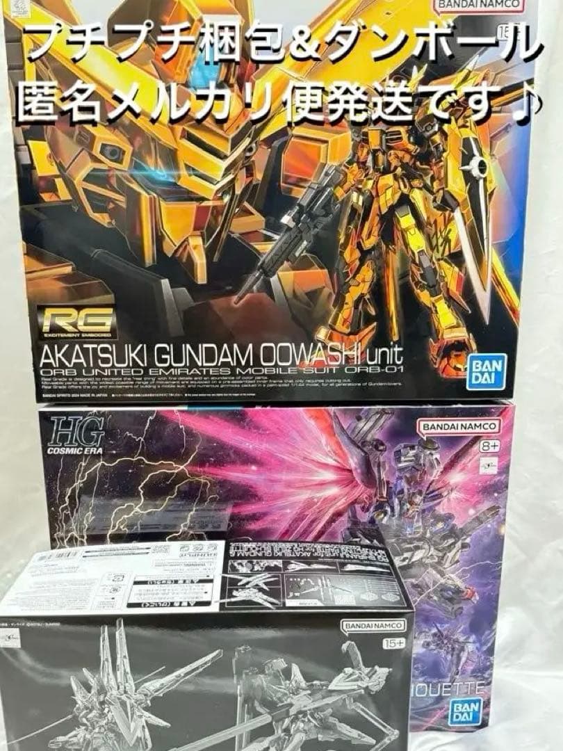 RGアカツキガンダム HGデスティニーSpecⅡ&ゼウスシルエット RGシラヌイ