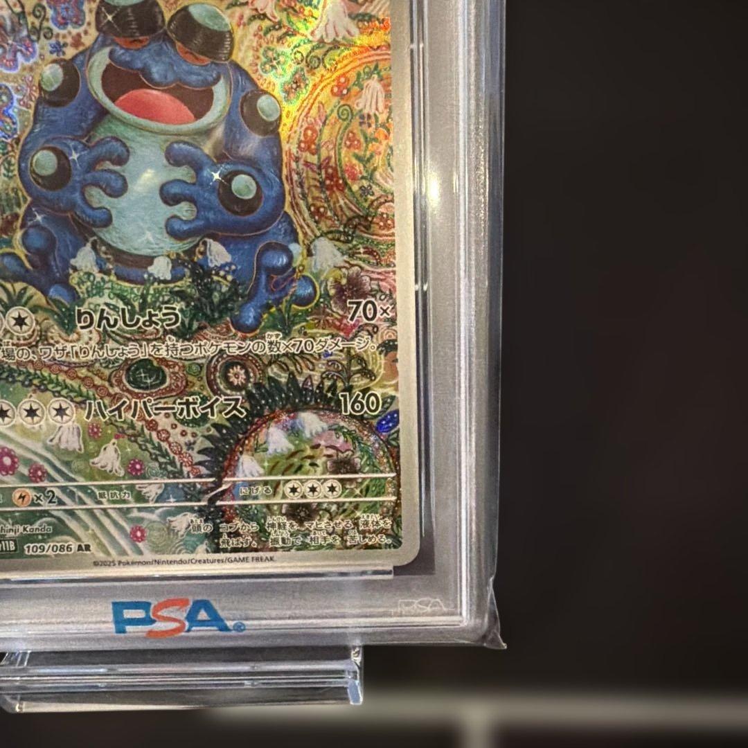 2025 ポケモン SV11B JP カメグロゲ AR PSA10