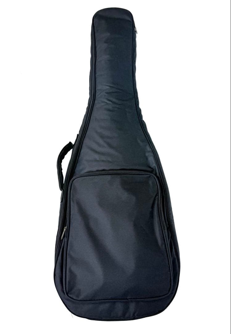 【入手困難】AIRLINE TWIN TONE TYPE エレキギター