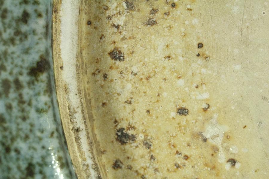 中国美術 纏枝蓮花貼 青華折口皿 φ47cm 美品(ZE727)