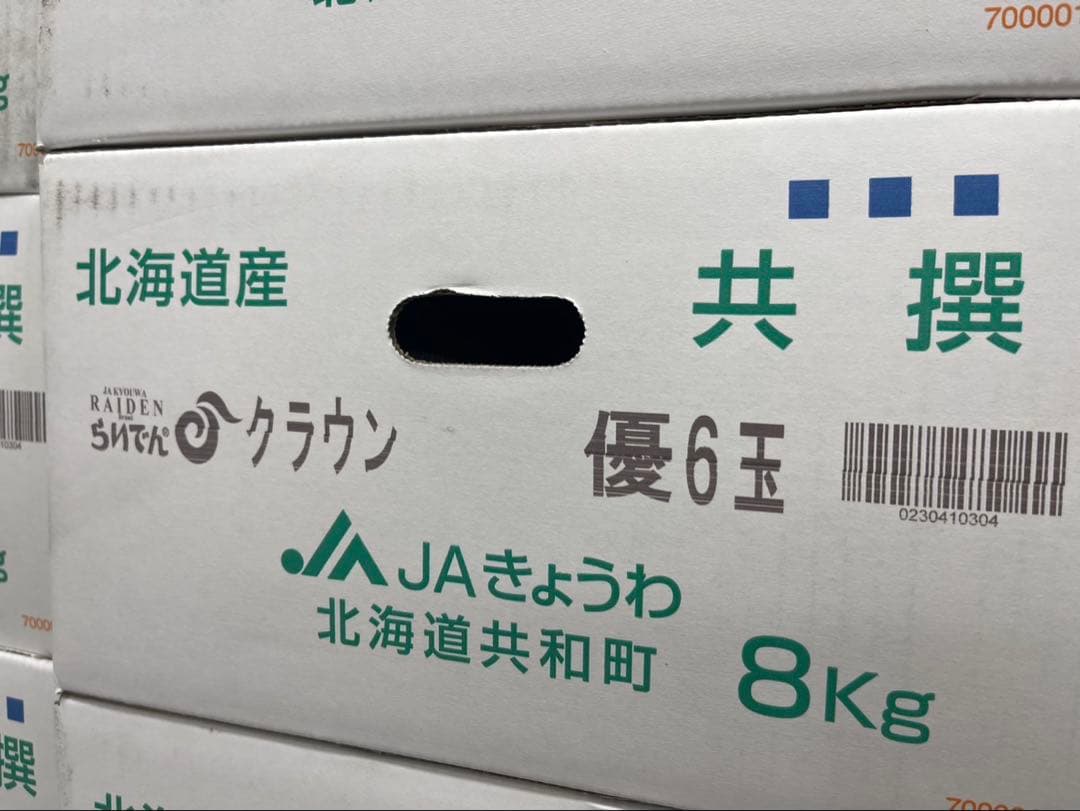 13【北海道産】青肉メロン （品種名：らいでんクラウン) 6玉　約8.5kg