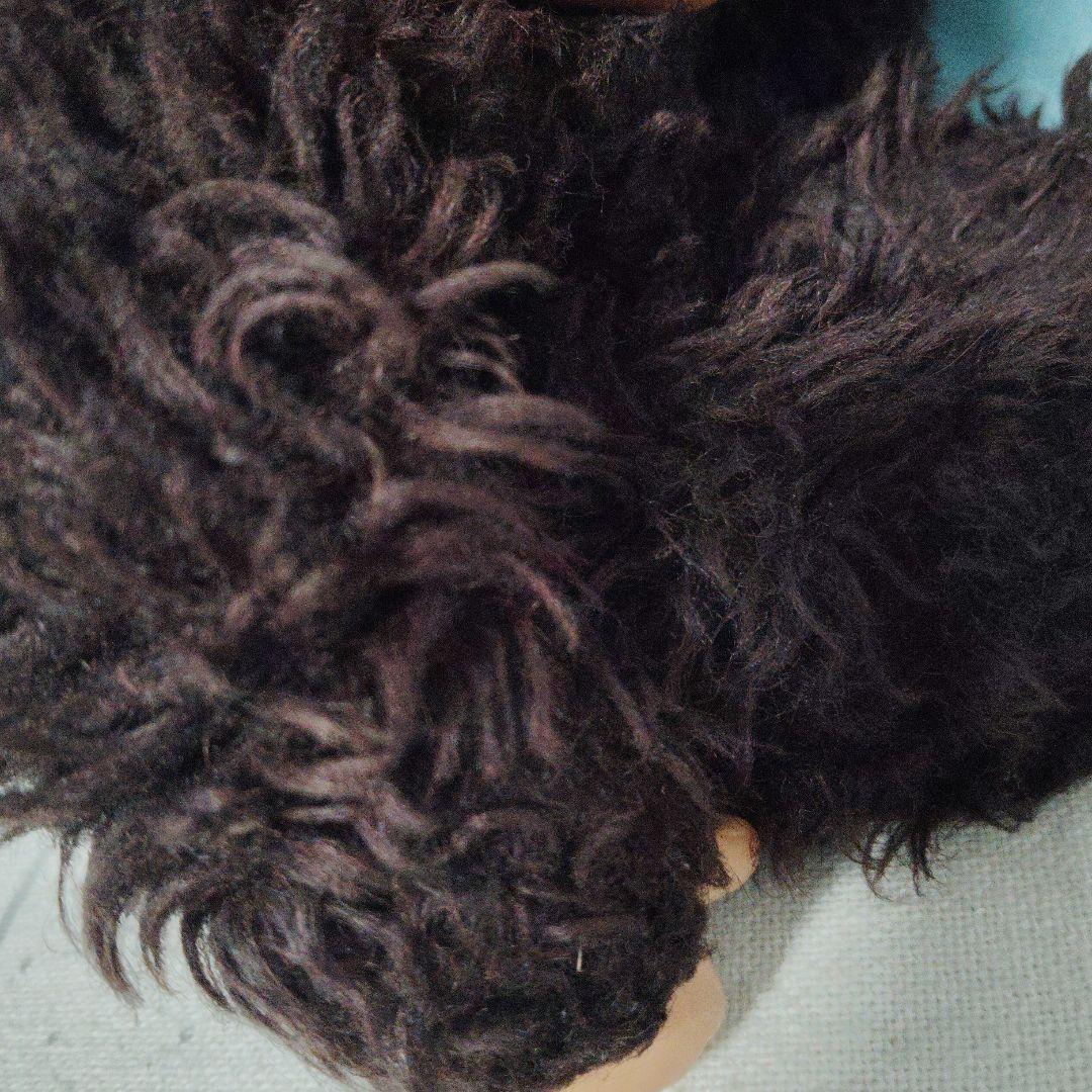 大助くん　ぬいぐるみ 30cm スリープアイ　TOHO トーホー　まごころ　人形