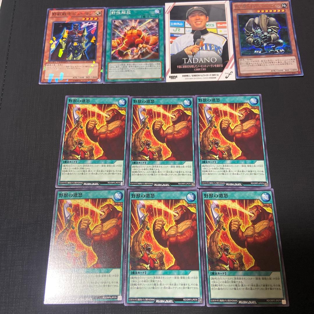 野獣の激怒　おまけカードあり