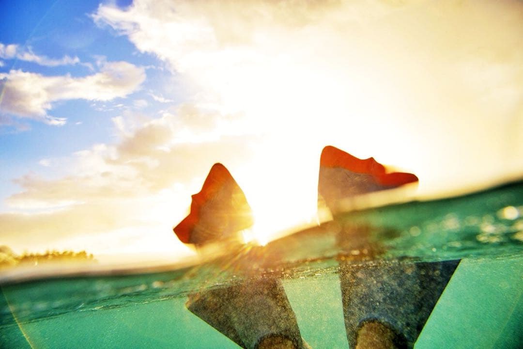 サーフィン・ボディボード NJR&jodan