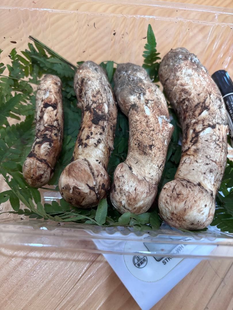 岩手県産松茸 216g 本日の10時までのご購入で本日発送