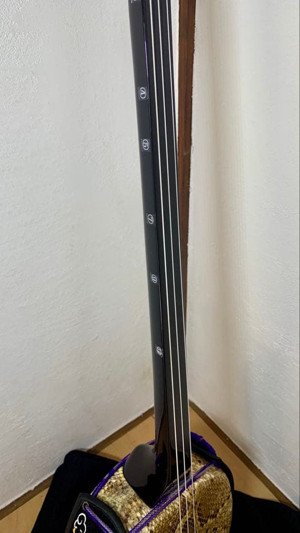 三線 沖縄 両面蛇皮 表側強化二重張り カラクイ1本弦2本新品交換